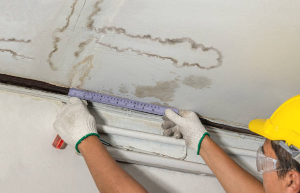 Reliable Water Damage Repair contractor in Lakewood, NY by Hirex Water Damage